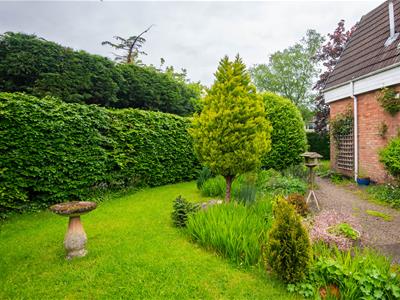 Picture 20